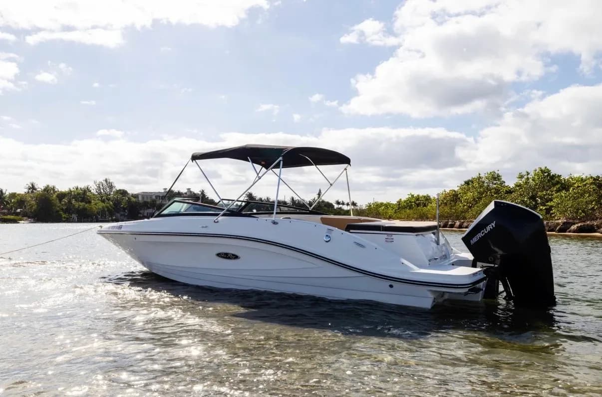 The white SeaRay SPX 2019 anchored at a sandbar
